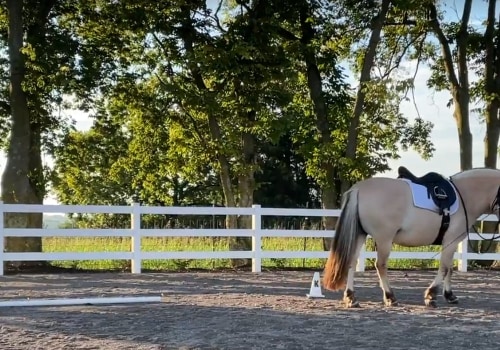 Unleashing the Beauty of Jefferson County, Kentucky: Horseback Riding Trails and More